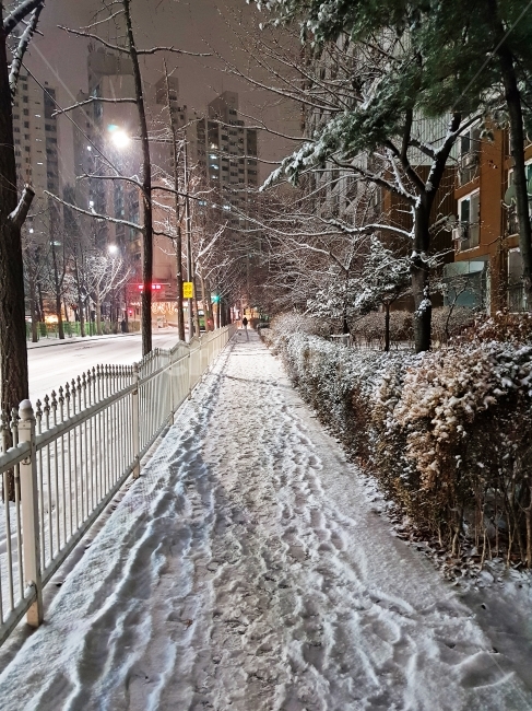 눈,발자국,눈꽃송이,겨울,추움,겨울,계절,winter,season,야경,밤,풍경,nightscape,night,landscape,도시,city,한국도시풍경,한국도시경관,korea cityscape,nature,자연,path,통로,outdoors,옥외