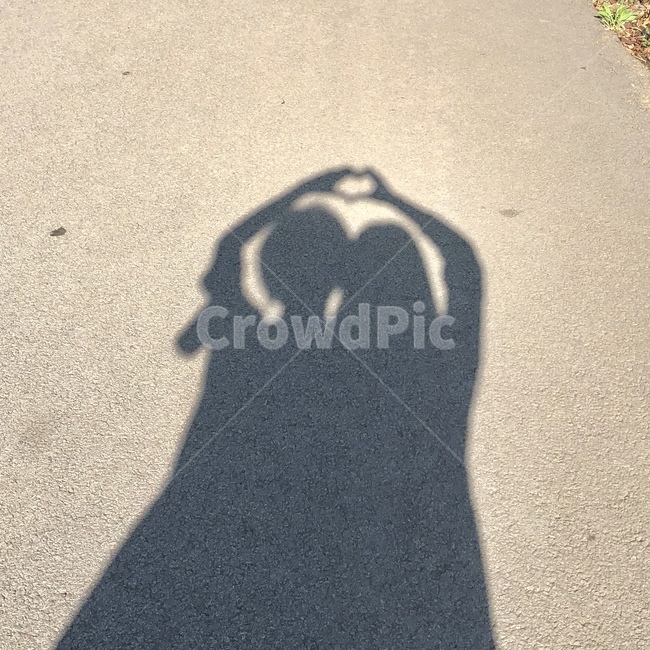 빛,그림자,감성,감성사진,하트,감정표현,기분,feeling,emotion,인물실루엣,사람실루엣,character silhouette,human silhouette,asphalt,아스팔트