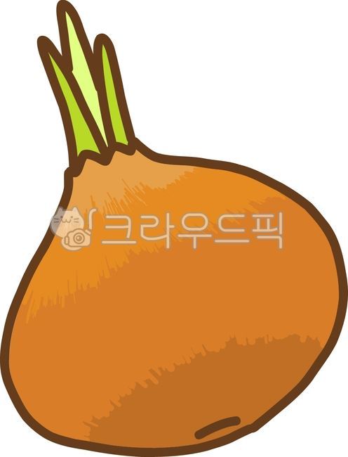 양파,양파그림,햇양파,통양파,양파일러스트,양파이미지,양파껍질,벡터이미지,뿌리채소,한식,김치,김장,김장재료,김치재료,김치양념,야채,채소,식재료,양념,향신료,매운,hot