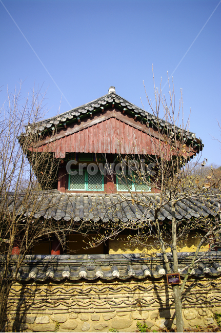전각,사찰,전통,기와지붕,목련나무,한국전통,한국문화,korean traditional,korean culture,건축물,건물외관,exterior,building,structure,architecture,construction