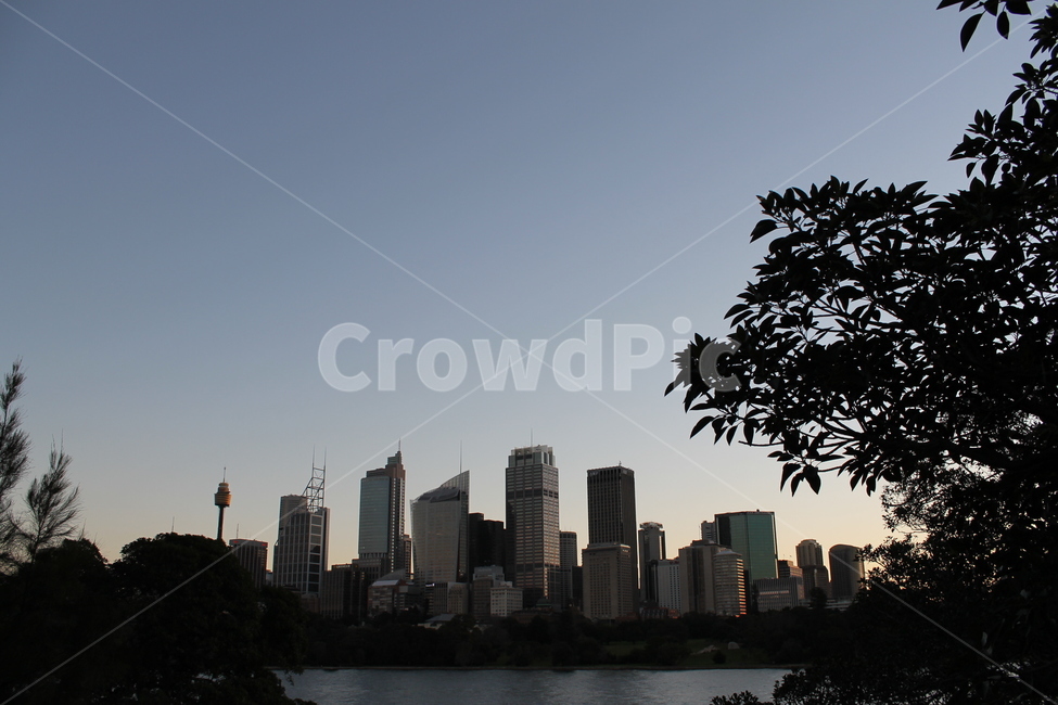 도시,도심,시티,어반,urban,city,metropolis,building,architecture,건물,사무실빌딩,officebuilding,silhouette,실루엣
