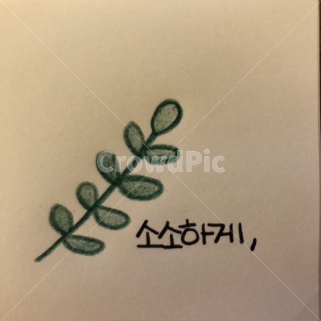 손글씨,캘리그라피,낙서,감성사진,색연필,예술,art,캘리그라피,손글씨,calligraphy