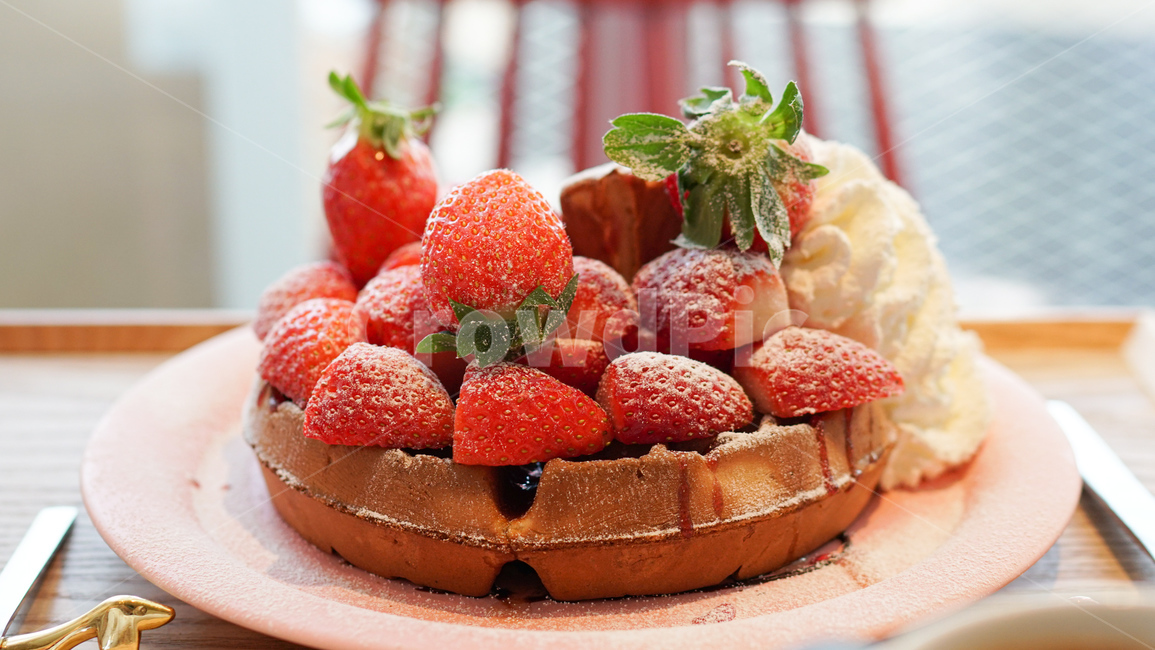 strawberry,딸기,food,음식,과일,fruit,디저트,생크림,제과,제빵,카페,후식,waffle,제과제빵,빵