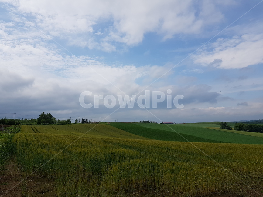 자연,들,옥외,목초지,grassland,outdoors,nature,field,자연,풍경,nature,landscape