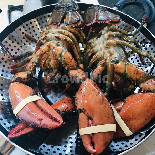 랍스터,랍스터찜,씨푸드,해물,저녁식사,lobster,seafood,dinner,음식,식재료,요리,food,cook,meal,dishes,food reserves,수산물,해산물,fishery products,seafood