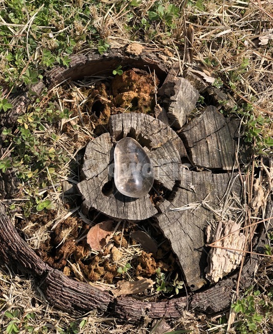 그루터기,나무,stump,tree,원석,gemstone,powerstone,파워스톤,스모키쿼츠,smokyquartz
