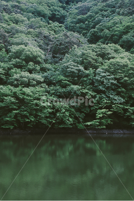 자연,풍경,초록색,나무,숲,식물,감성사진,여름,휴식,힐링,자연,풍경,nature,landscape,water,물,outdoors,옥외