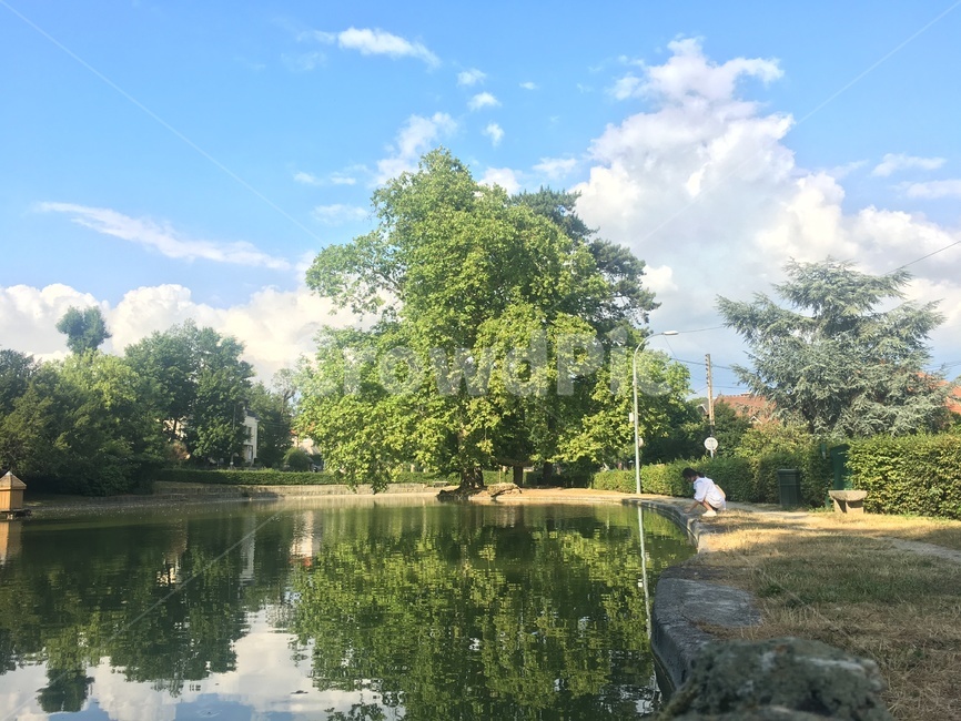 초록색,green,nature,나무,자연,자연,풍경,nature,landscape,water,물,outdoors,옥외