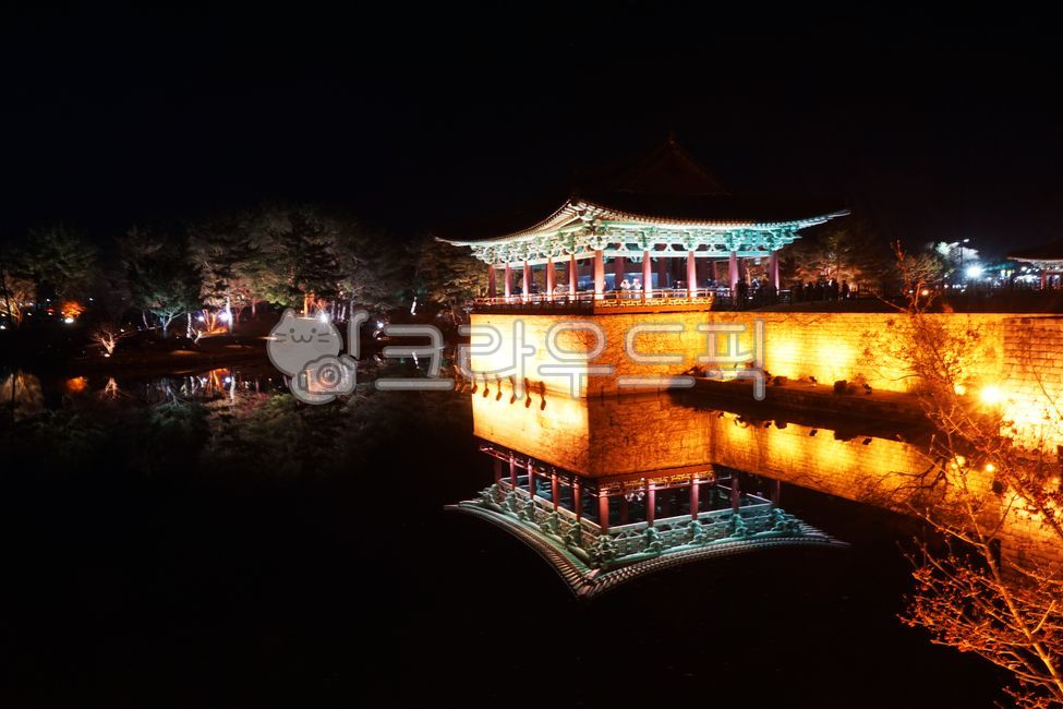 night view,palace,pond,pine tree,nature,Anapji Pond,Wolji Pond,Silla,history,lighting,Gyeongju,Donggung and Wolji Pond,ancient times,outdoors,lake,Donggung Palace
