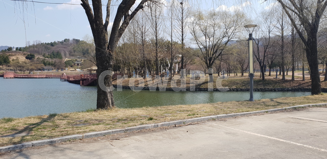 자연,풍경,나무,경치,힐링,자연,풍경,nature,landscape,tree,plant,식물