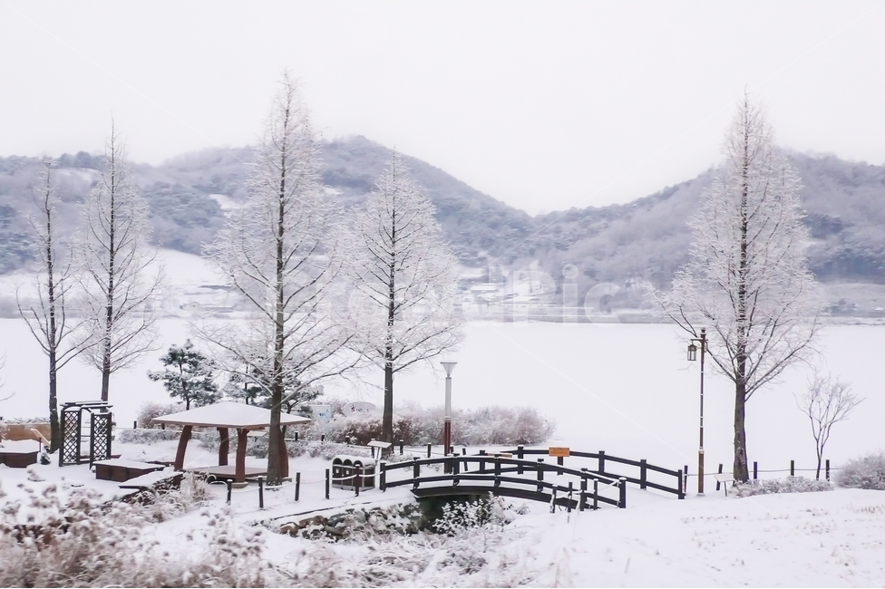 눈,겨울,겨울풍경,눈꽃,공원,공원풍경,snow,다리,정자,나무,산,가로등,식물,한국의겨울,겨울호수,감성,감성사진,나무다리,하얀색,겨울,계절,winter,season,자연,풍경,nature,landscape,한국자연풍경,한국자연경관,korea nature landscape,outdoors,옥외,ice,빙