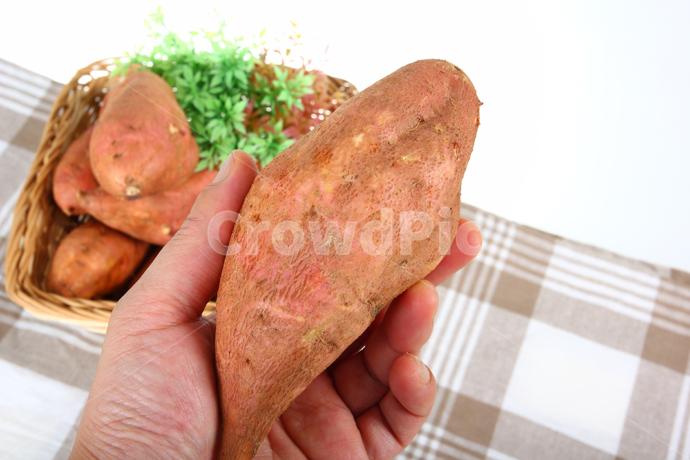 고구마,군구고마,구황작물,음식,식품,간식,호박고구마,밤고구마,달콤,sweetpotatoes,gourd,gourdcrop,food,snacks,sweet,음식,식재료,요리,food,cook,meal,dishes,food reserves,연출,컨셉,콘셉,direction,concept