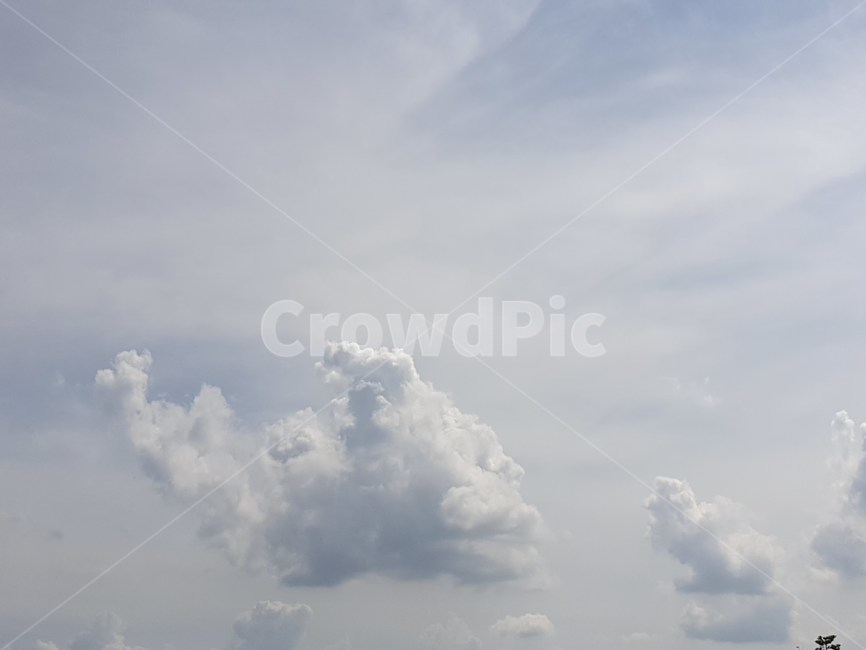 nature,자연,weather,sky,하늘,cloud,구름,하양,하얀
