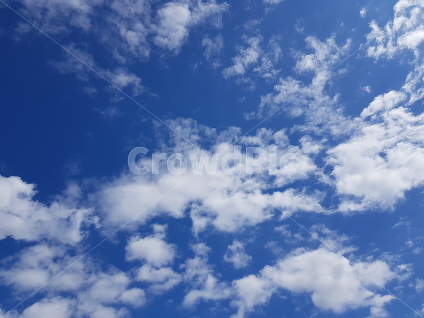 구름,하늘,파란하늘,뭉게구름,특이한구름,푸른하늘,파란,special,cloud,sky