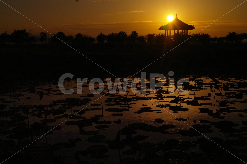 저녁,일몰,석양,노을,가을,배경화면,매직아워,magichour,outdoor,autumn,sunset,색감,컬러,color,공원,park,자연,nature,자연,풍경,nature,landscape,한국자연풍경,한국자연경관,korea nature landscape,flare,플레어,light,빛,outdoors,옥외,sunlight,햇빛,red sky,붉은 하늘,dawn,새벽,sky,하늘,dusk,황혼
