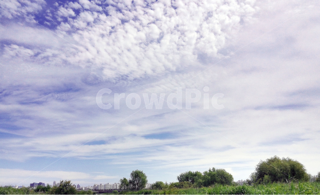 하늘,구름,파란구름,cloud,sky,여름,배경화면,풍경,자연,풍경,nature,landscape,outdoors,옥외