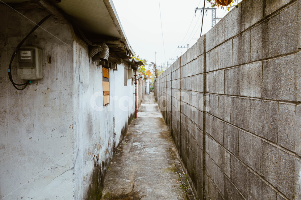 narrow alley,alley,wall