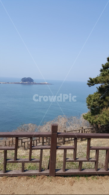 바닷가,바다,하늘,섬,소나무,울타리,언덕,잔디,자연,풍경,nature,landscape,railing,난간