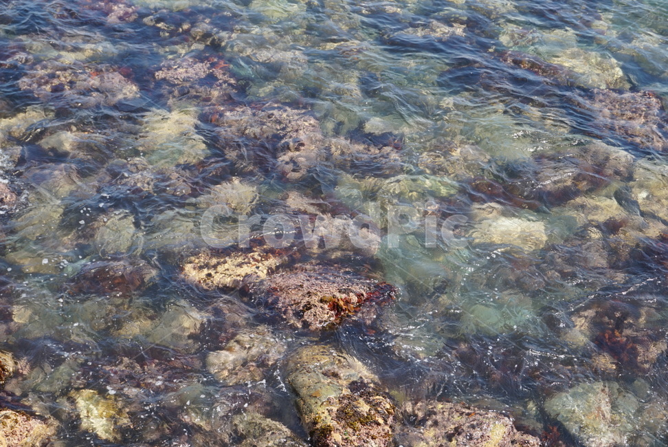겨울바다,동해,바다,에메랄드빛,풍경,물결,잔잔함,sea,scenery,자연,풍경,nature,landscape,plant,식물