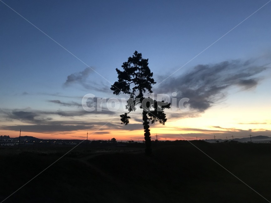 토성,야경,노을,구름,해질녘,해,하늘,언덕,나무,자연,정북동,풍경,tree,plant,nature