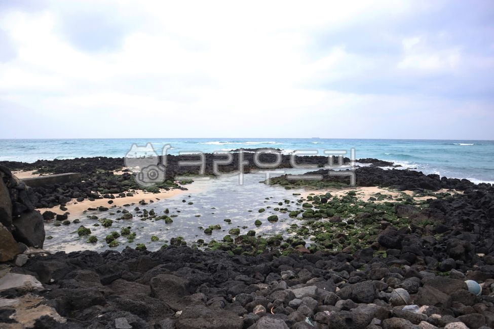바다,sea,ocean,해양,제주도,곽지해수욕장,돌,하늘,자연,풀,nature,sky,제주도바다,겨울바다,봄바다,여름바다,푸른,푸르다,깨끗한,청량한,구름