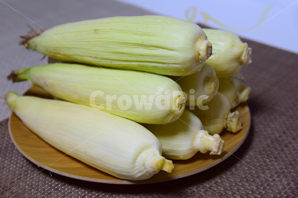 옥수수,옥수수껍질,옥수수잎,콘,옥수수수염,옥수수속껍질,corn,음식,음식재료,식재료,식물,자연,plants,nature