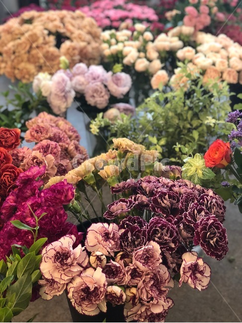 꽃,꽃다발,flower,꽃집,카네이션