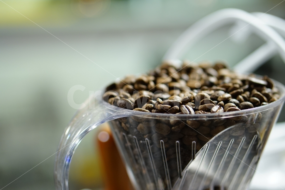 컵,카페,커피,커피원두,원두,커피콩,콩,coffee,cafe,beans,커피,카페,coffee,cafe