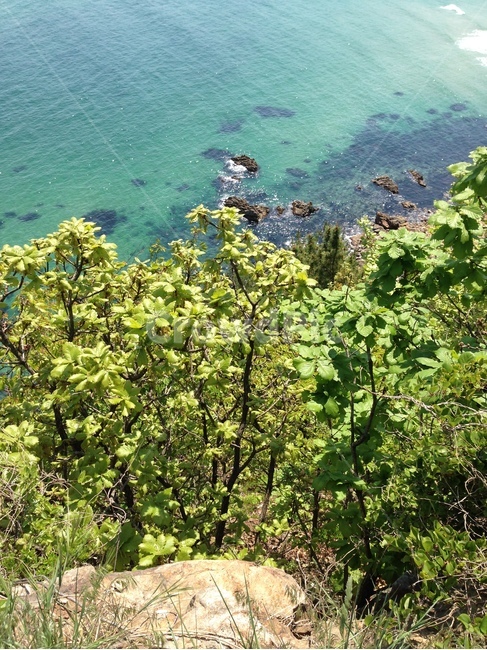 바다,동해,자연,풍경,여름,sea,eastsea,nature,landscape,scenery,summer
