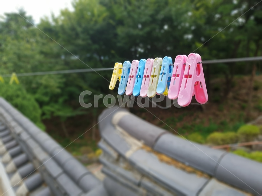 빨래집게,빨래줄,담장,여름,초록,분홍색,하늘색,사물,물건,오브젝트,thing,object,matter