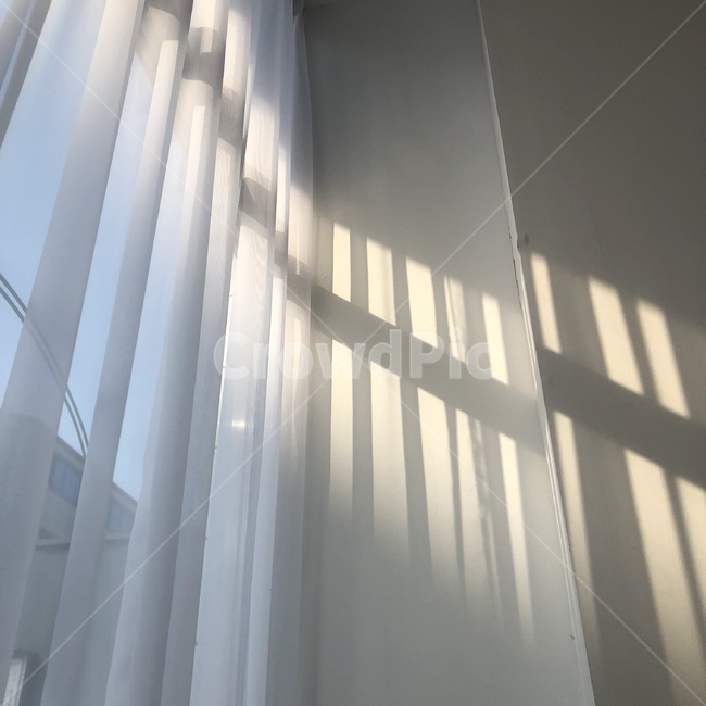 카페,인테리어,햇빛,감성,cafe,창문,인테리어,실내디자인,interior design