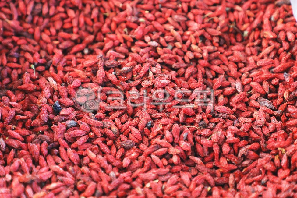 구기자,구기자열매,건조구기자,약재,한약