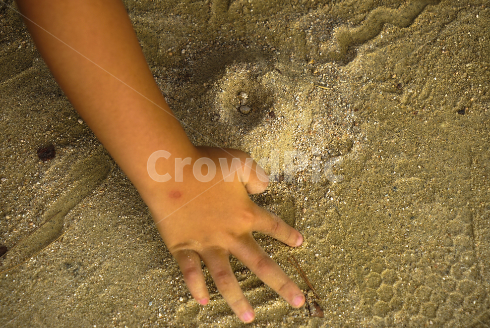 손,흙,모래,놀이,아이,자연,팔,해변,바다,beach,sea,사람,인물,인간,human,person,신체일부,몸,body,어린이,어린아이,child,children,kid