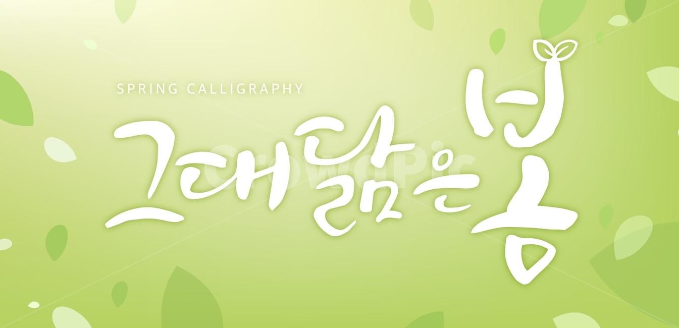 Phrases,Callie,Calligraphy,handwriting,korean,Typography,spring,typo,letter,spring day,calligraphy
