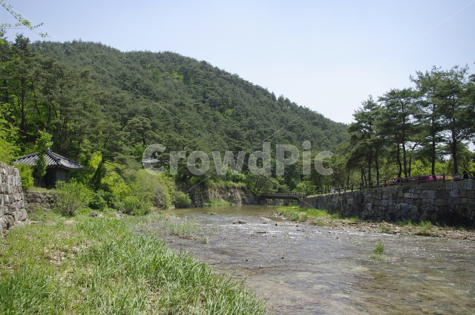 나무,식물,plant,산,신록,강,다리,자연,풍경,nature,landscape,한국자연풍경,한국자연경관,korea nature landscape,outdoors,옥외,water,물