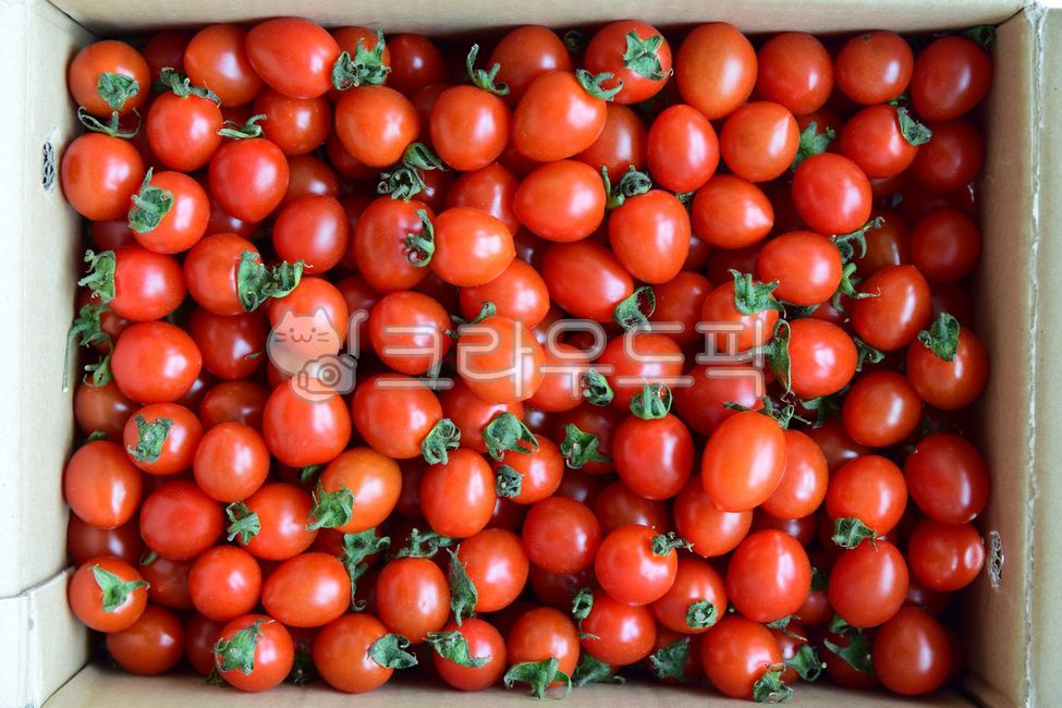 방울토마토,토마토,과일,식재료,상자,한상자,박스,한박스,포장,한팩,빨강,빨강색,맛있는,잘익은,탐스러운,음식,후식,디저트,열매,box,onebox,pack,tomato,cherrytomato,red,delicious,dessert,wellbeing,health,food,foodreserves,fruit,diet,다이어트,건강,건강식,음식,식재료,요리,food,cook,meal,dishes,food reserves