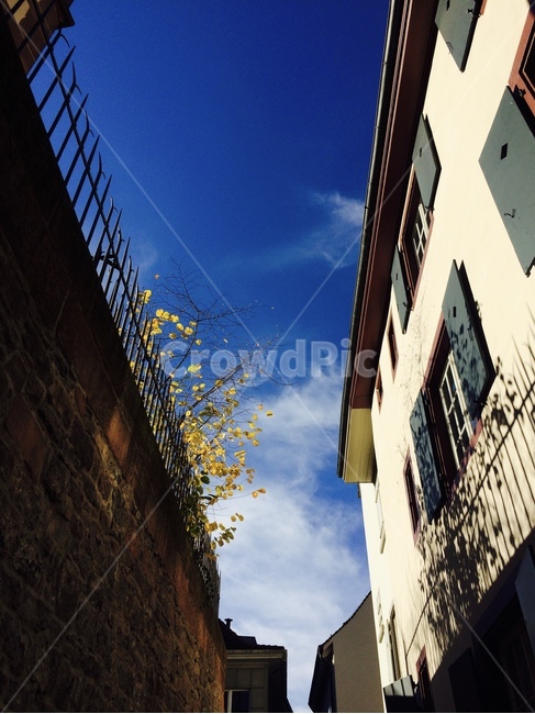 구름,하늘,벽,꽃,파란하늘,골목길,alley,handrail,난간,banister