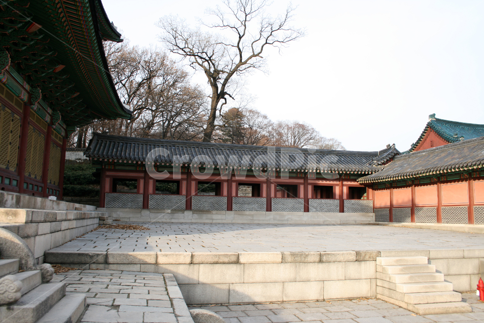 창덕궁,인정전,한국의궁,세계문화유산,문화유산,한국,전각,한국전통,한국문화,korean traditional,korean culture,랜드마크,landmark,tourist attraction,한국랜드마크,한국관광지,한국명소,korea landmark,korea tourist attraction