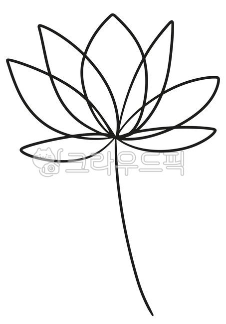 연꽃, 연꽃일러스트, 연꽃드로잉, 연, 축제, 사진,이미지,일러스트,캘리그라피 - lougraphic작가