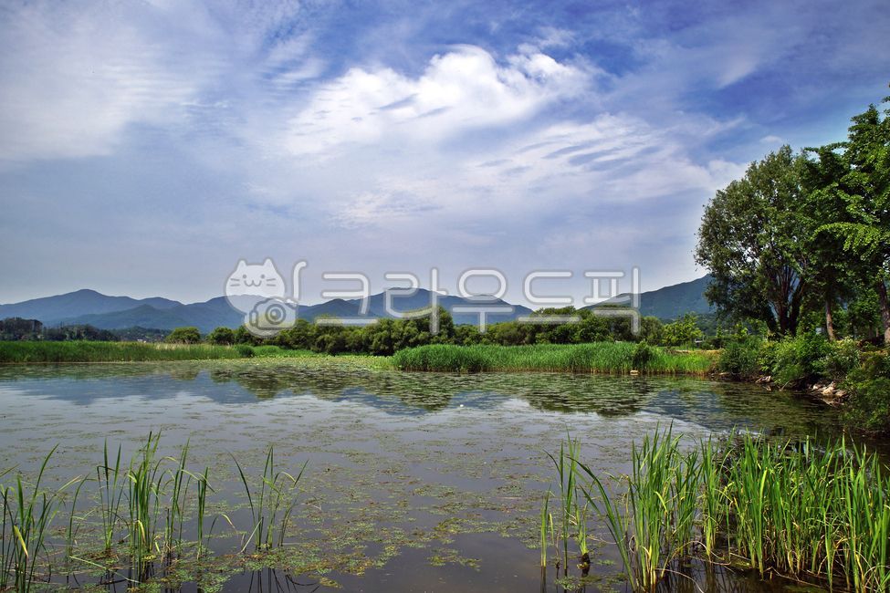 두물머리,양평,양수리,남한강,북한강,강,전원,자연,자연,풍경,nature,landscape