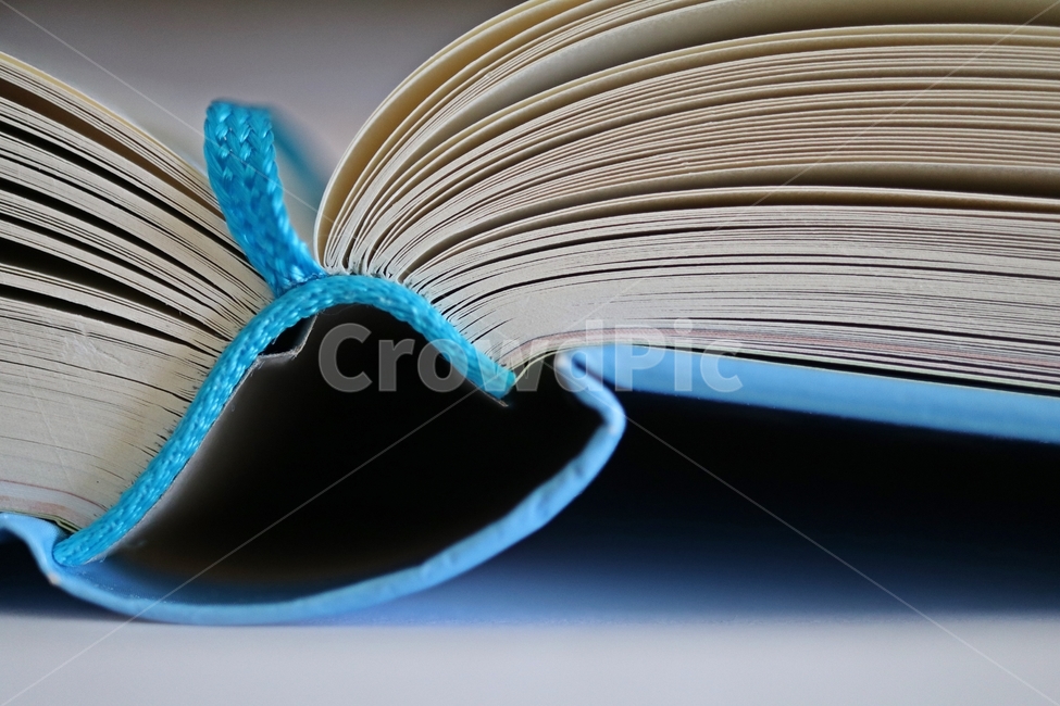 책,책갈피,가림끈,가름끈,하늘색,종이,두꺼운,접사,매크로,독서,교육,학교,공부,education,learning,study,school,사물,물건,오브젝트,thing,object,matter