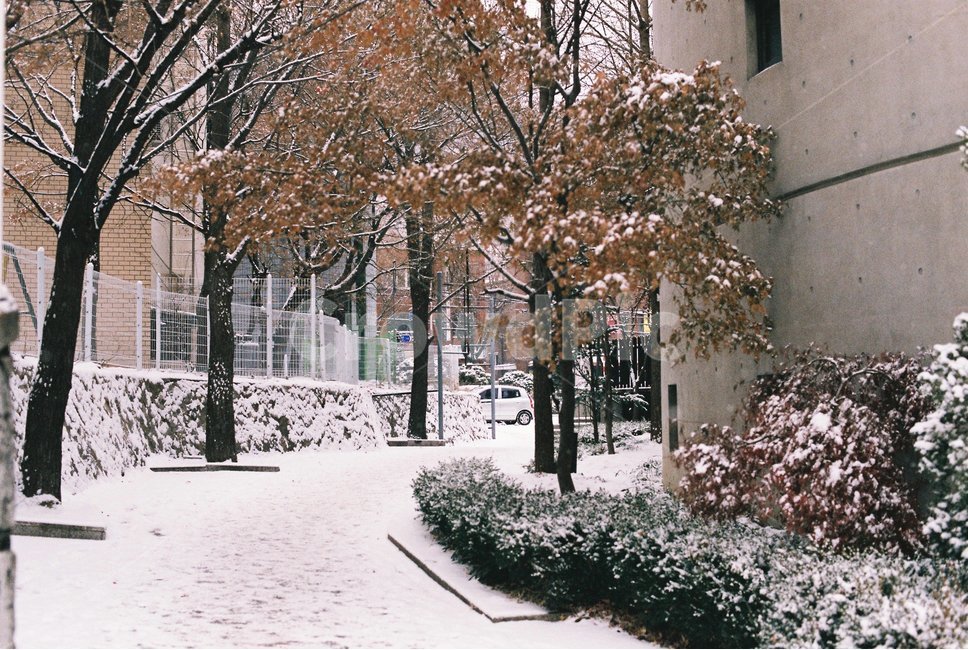 겨울,눈,골목,눈내린골목,필름사진,겨울,계절,winter,season,골목길,alley,감성,sensible,feeling,outdoors,옥외,nature,자연