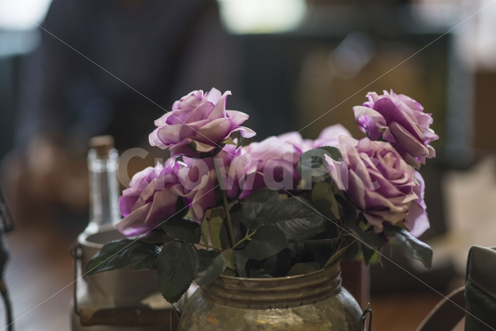 꽃,소품,장식,카페,인테리어,조화,식물,자연,plants,nature,꽃,flower,인테리어,실내디자인,interior design