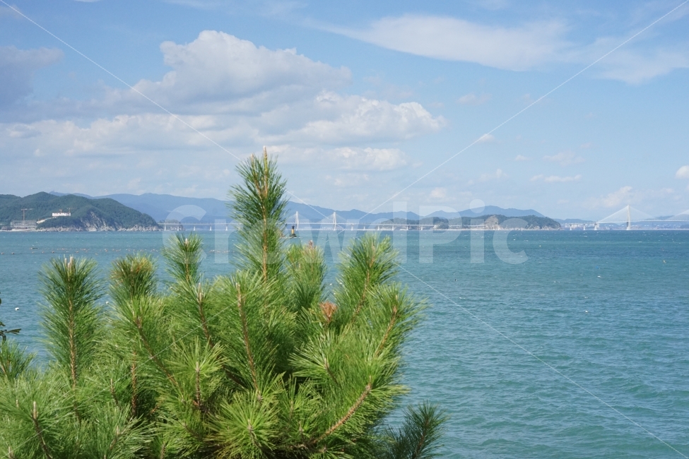 바다,바다풍경,하늘색,수평선,하늘,자연,풍경,nature,landscape,식물,plants,tree,나무,plant,outdoors,옥외,land,땅