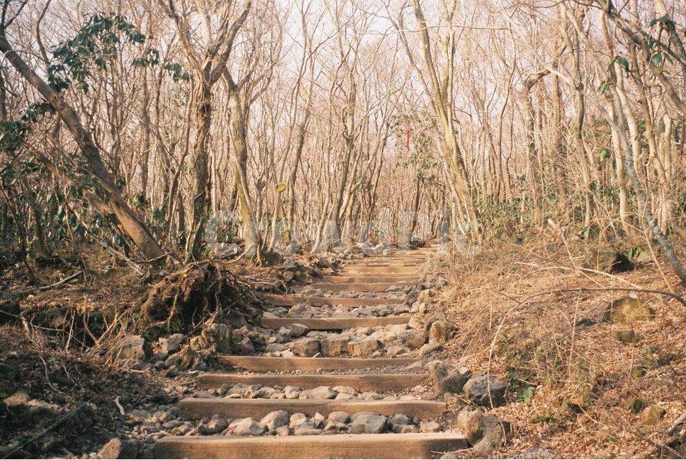 겨울산,등산,한라산,등반,겨울등산,나뭇가지,겨울나무,나무,불조심,등산길,둘레길,겨울,계절,winter,season,자연,풍경,nature,landscape