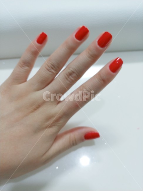 손,손가락,빨강,red,몸,신체,여성,여자손,인물,finger,hand,표현