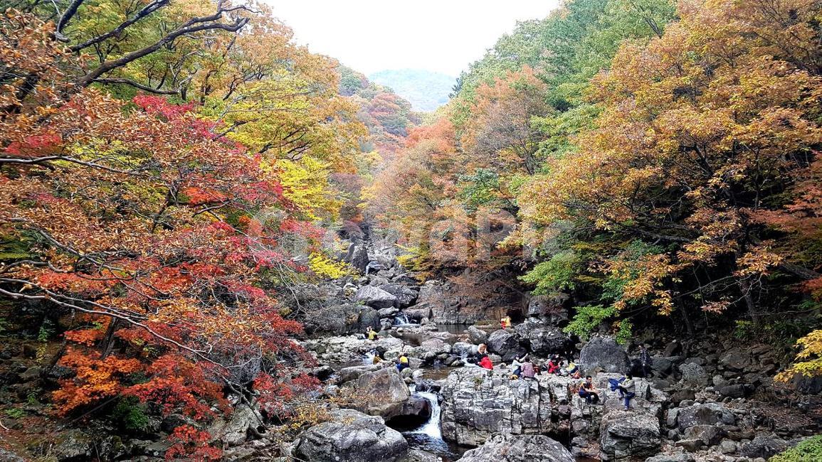 지리산,가을,계곡,뱀사골,단풍,가을,계절,fall,autumn,season,자연,풍경,nature,landscape,water,물,outdoors,옥외