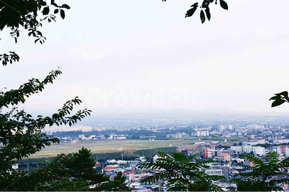마을,제주,하늘,자연,모험,제주도,jeju,jeju island,도시,풍경,city,landscape,한국도시풍경,한국도시경관,korea cityscape,outdoors,옥외,경치,nature,scenery,tree,나무,plant,식물