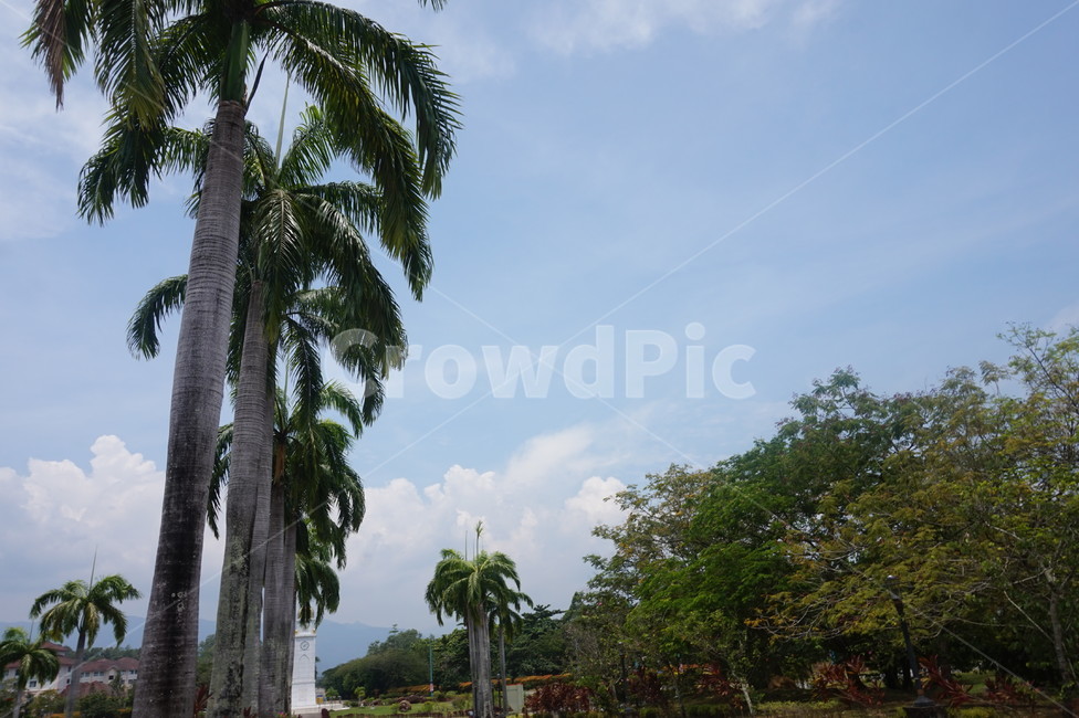 코타키나발루,말레이시아,여름,하늘,풍경,건물,색감,summer,kotakinabalu,landscape,building,green,자연,nature,낮,나무,tree