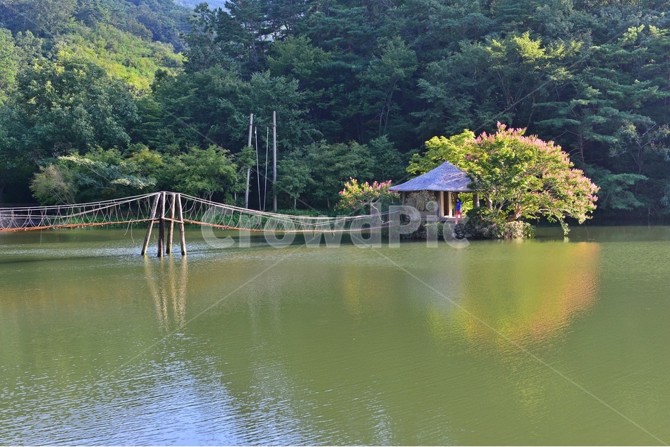 water,물,nature,자연,outdoors,옥외,순천,일일레져타운,배롱나무,배롱나무꽃,반영,저수지,자연,풍경,nature,landscape